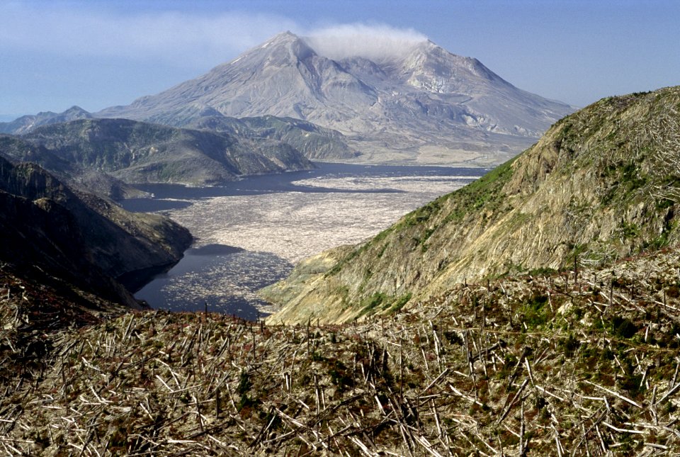Gifford Pinchot National Forest, Mt St Helens NVM, blowdown timber, Spiit Lake.jpg
