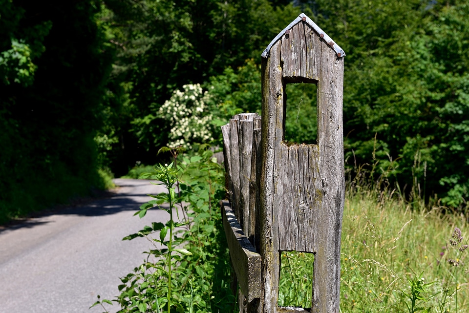 Wooden posts nature away