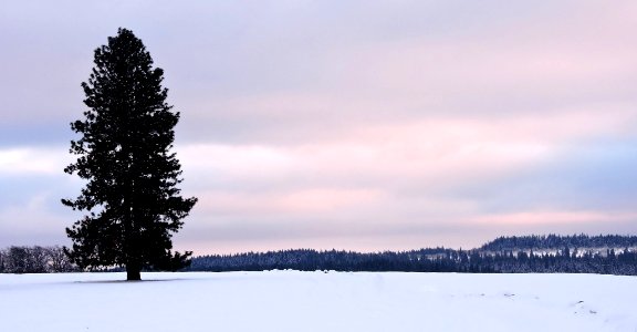 Mt. Hood Meadows on the Mt. Hood National Forest