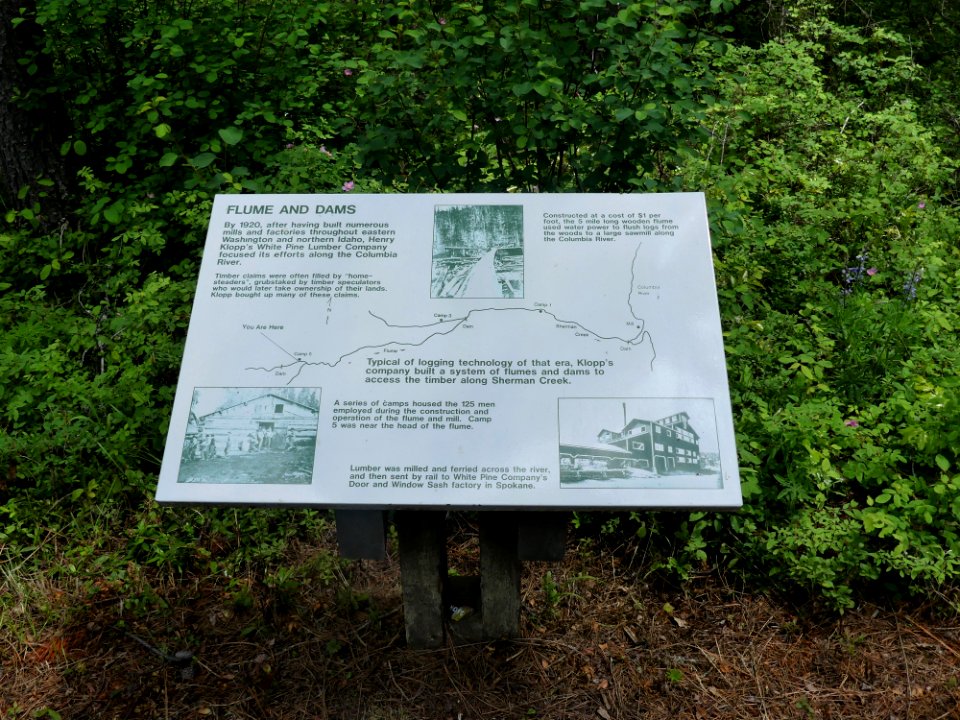 Colville NF log flume trail June 2020 by Sharleen Puckett 11
