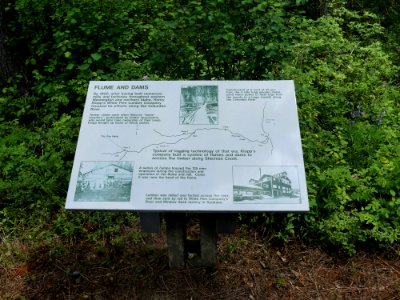 Colville NF log flume trail June 2020 by Sharleen Puckett 11