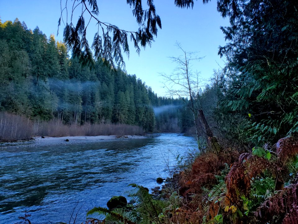 Autumn on the Old Sauk Trail, Mt. Baker-Snoqualmie National Forest.  Photo by Anne Vassar December 1, 2020.