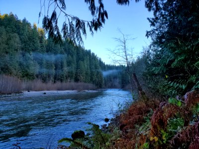 Autumn on the Old Sauk Trail, Mt. Baker-Snoqualmie National Forest.  Photo by Anne Vassar December 1, 2020.