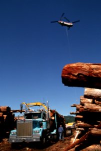 Mt Hood National Forest, timber harvest operations-3.jpg