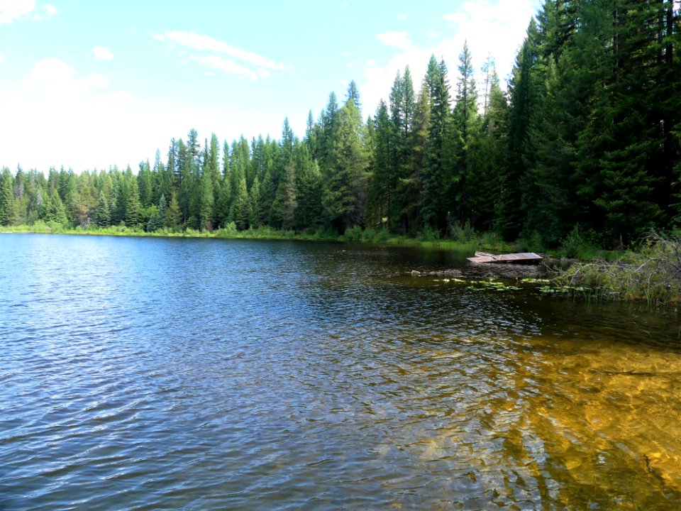 Colville NF Gillette Lake Campground June 2020 by Sharleen Puckett 4