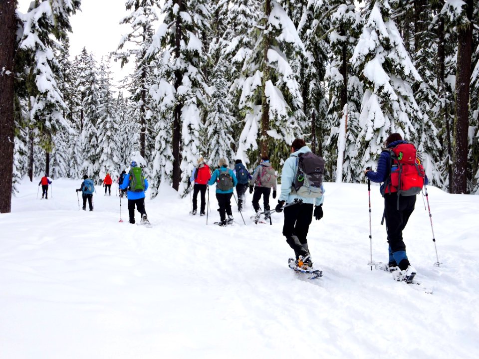 Mt. Hood Meadows on the Mt. Hood National Forest