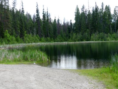 Colville NF Ferry Lake June 2020 by Sharleen Puckett 9