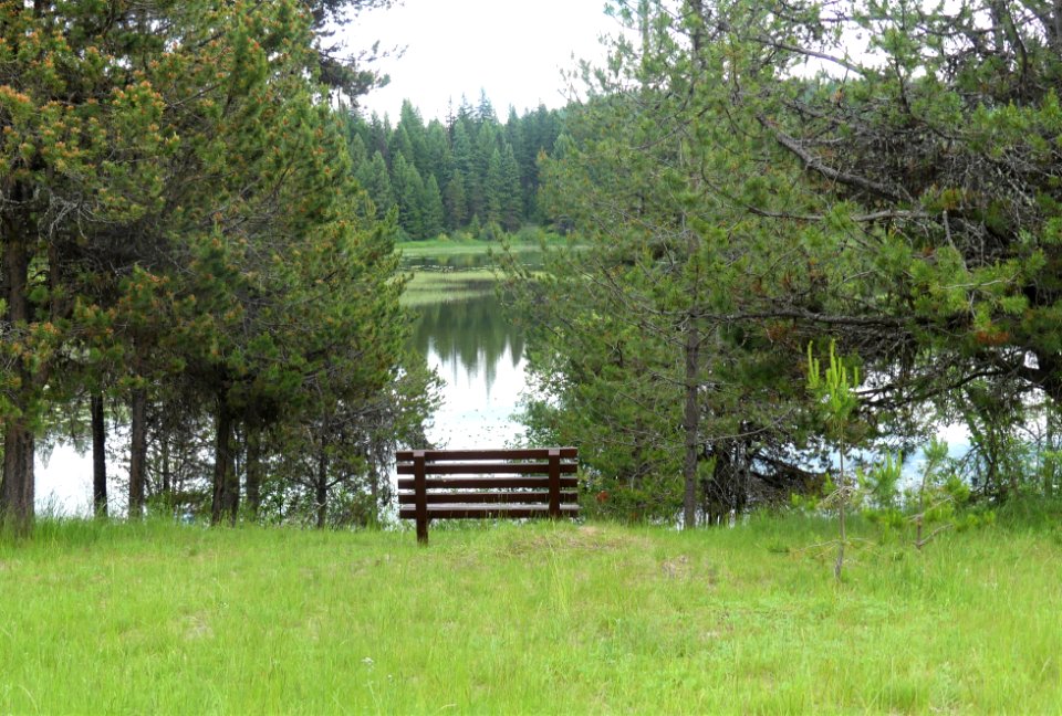 Colville NF Frater Lake June 2020 by Sharleen Puckett 25