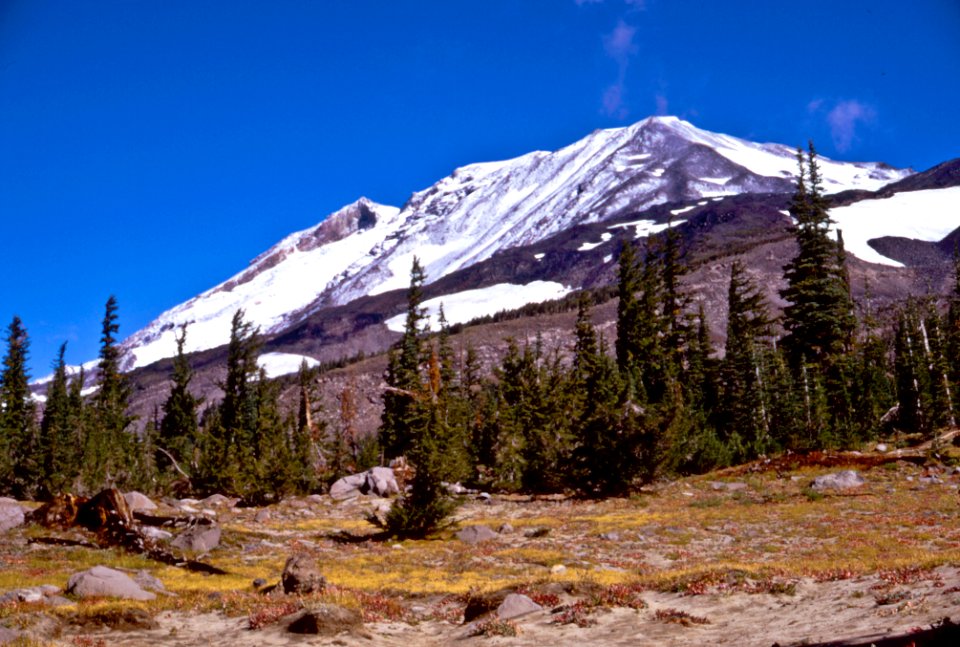 Mt. Adams, Gifford Pinchot National Forest
