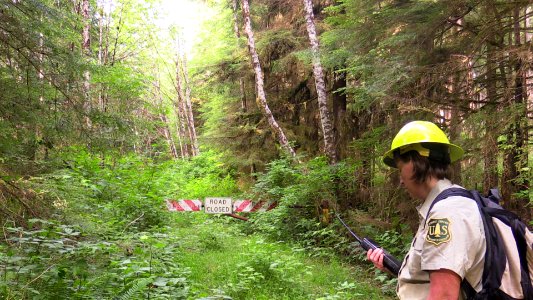 201506-FS-Olympic-Forest biologist check in on radio