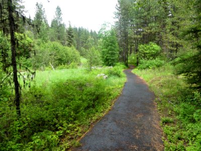 Colville NF log flume trail June 2020 by Sharleen Puckett 2