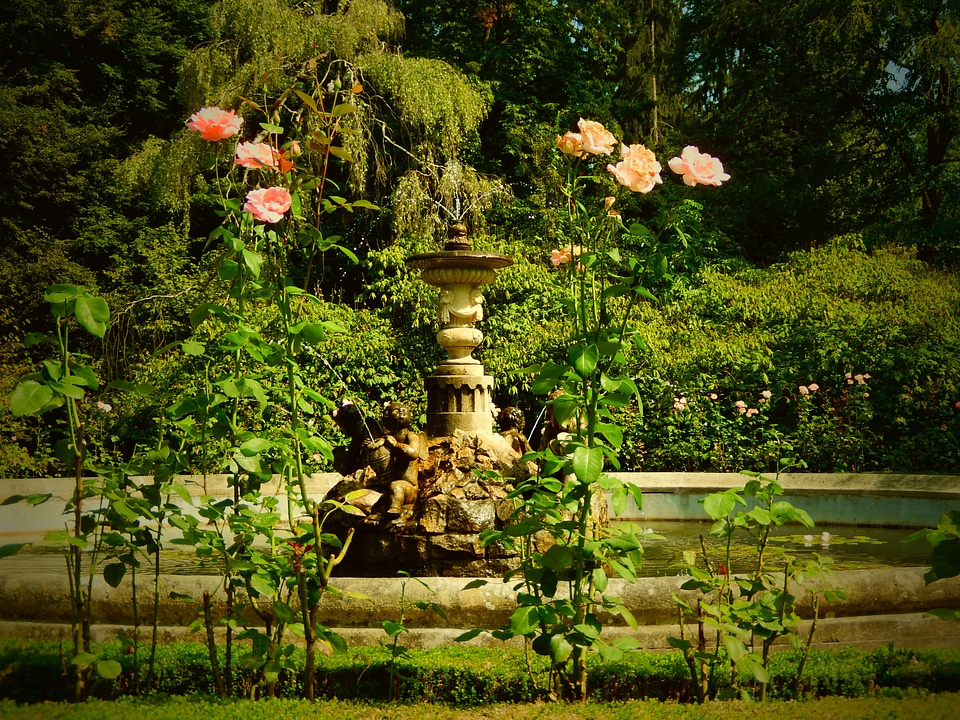 Fountain spring parking