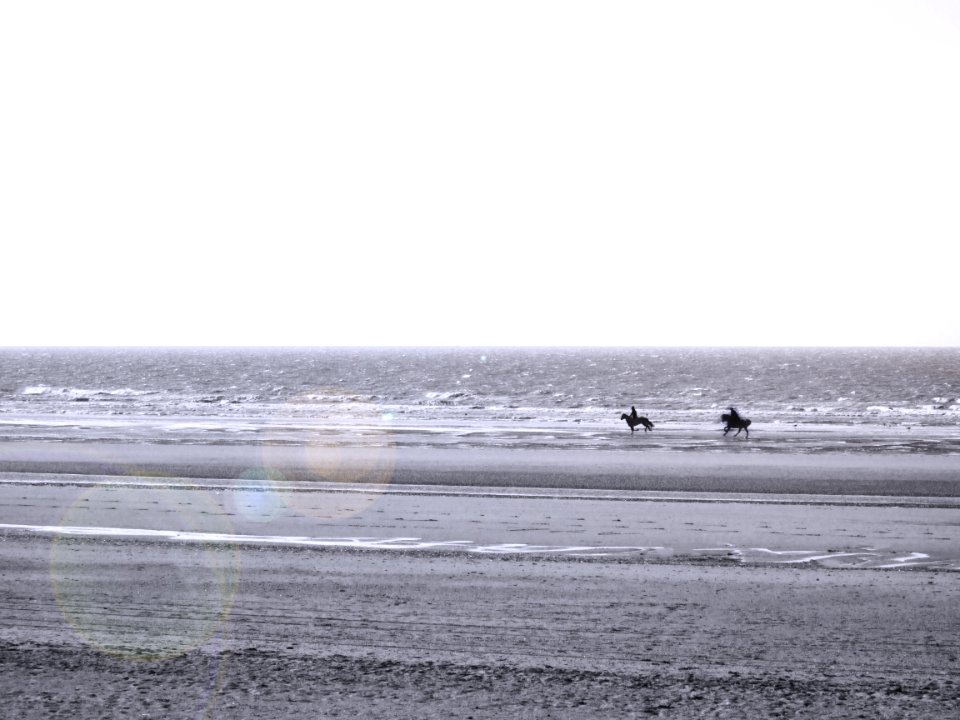 chevauchée en mer du nord