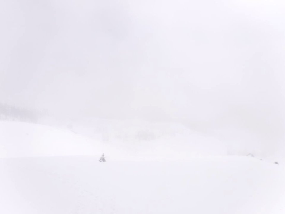 20210325-FS-GP-Afternoon fog at 4200' - Andy Goodwin