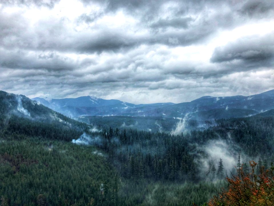 Big Hollow Fire, Burn area NW side of Trapper Creek Wilderness