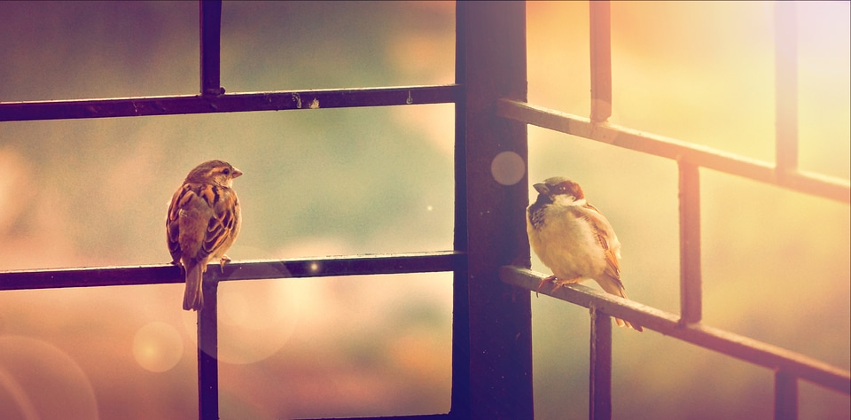 Outdoor wildlife zoo