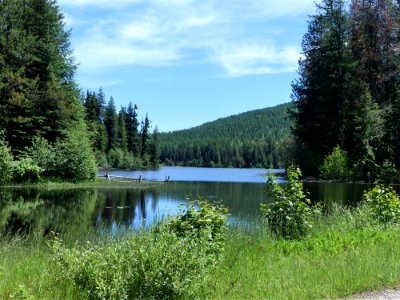 Colville NF Big Meadow Lake Trail scenic June 2020 by Sharleen Puckett