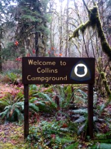 2020 Olympic Collins Campground sign