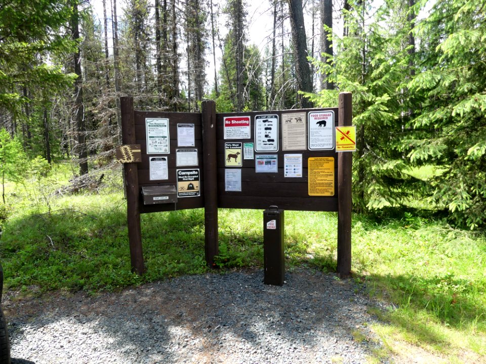 Colville NF Gillette Lake Campground June 2020 by Sharleen Puckett 21