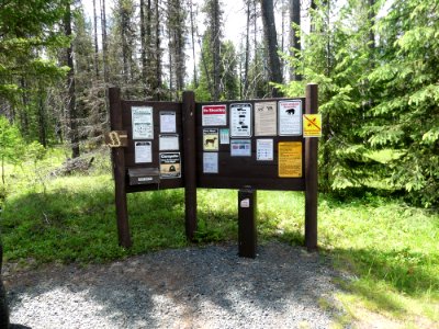 Colville NF Gillette Lake Campground June 2020 by Sharleen Puckett 21