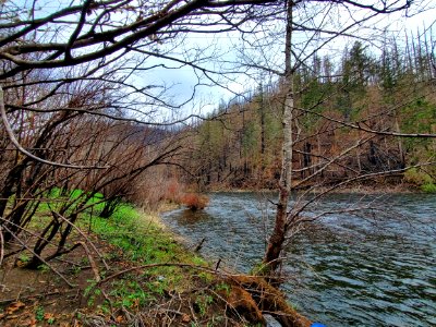 Clackamas River after Riverside Fire, Mt. Hood National Forest
