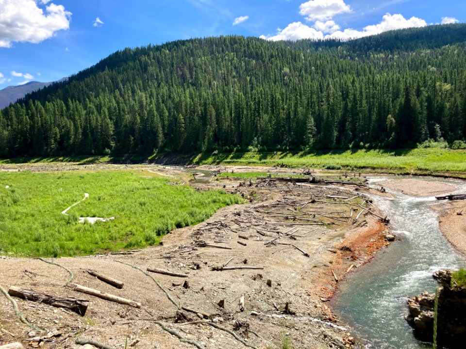 Colville NF - Sullivan Creek Mill Pond - June 2020 - Flood Plain - Starr Farrell