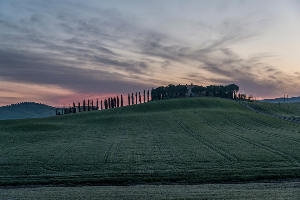 Nature sky grass
