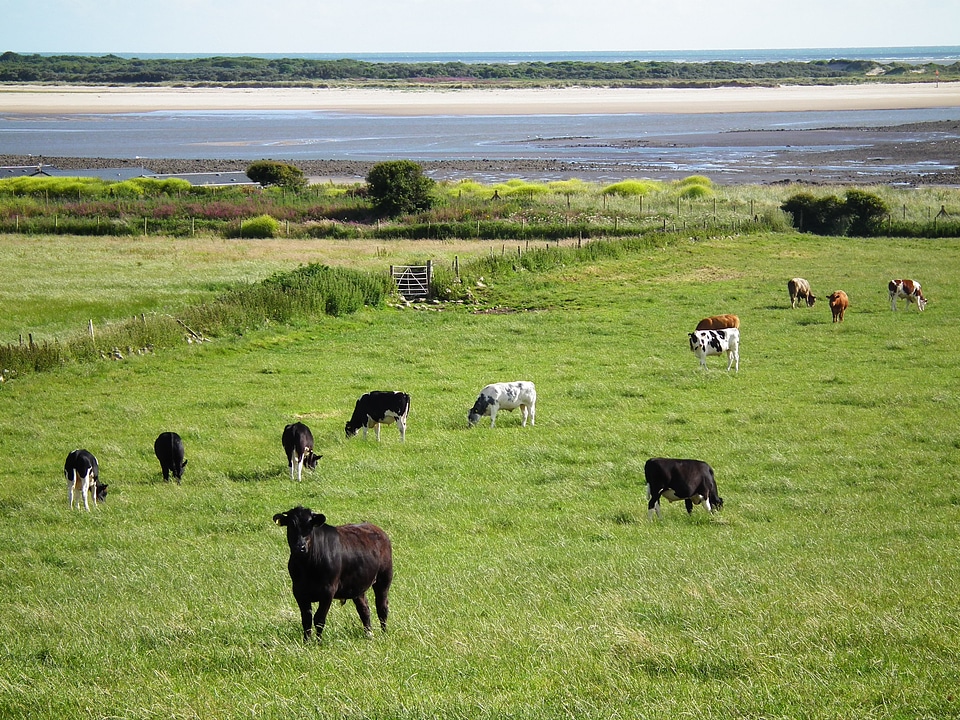 Agriculture nature farming
