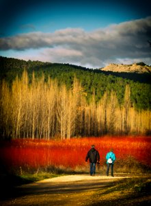 Pareja