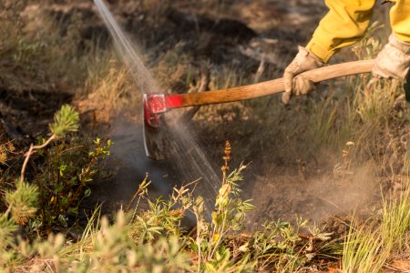 fire crew mopping up