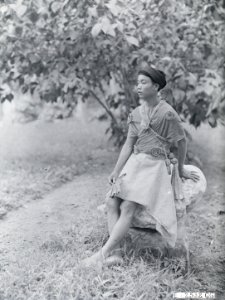 HÀ ĐÔNG - Lễ hội làng Dương Liễu (tháng 4/1928) photo