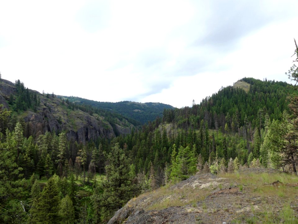 13 Mile Trail June 2020 rdige by Sharleen Puckett