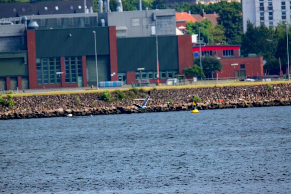 Kiel Juni 2018294