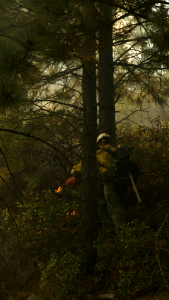 170823-FS-Deschutes-ARM-004