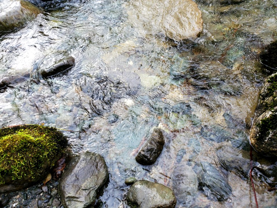 Illabot Creek, Mt. Baker-Snoqualmie National Forest. Photo by Anne Vassar December 10, 2020.