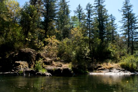 White Creek Campground, Umpqua National Forest