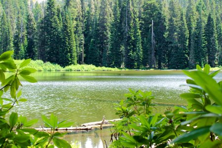 Bullpup Lake, Umpqua National Forest photo