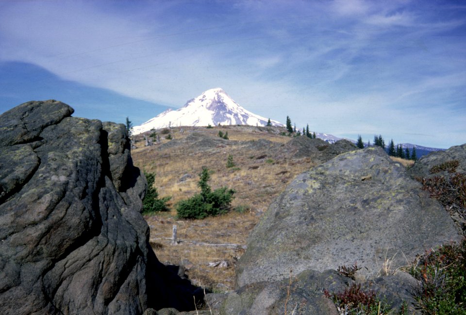 Mt Hood National Forest, Bird Butte area.jpg