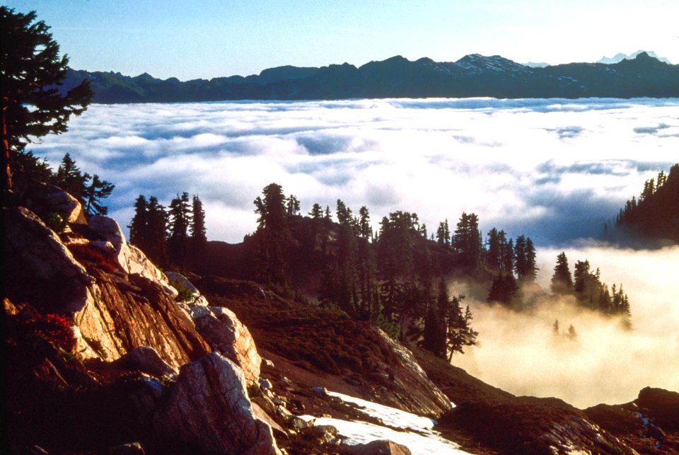 Clouds over Valley, Olympic National Forest.jpg