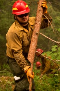Firefighter, Umpqua National Forest Fires, 2017