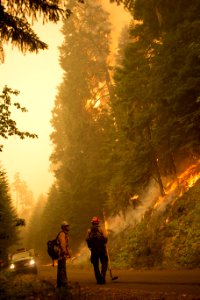 Firefighters, Umpqua National Forest Fires, 2017
