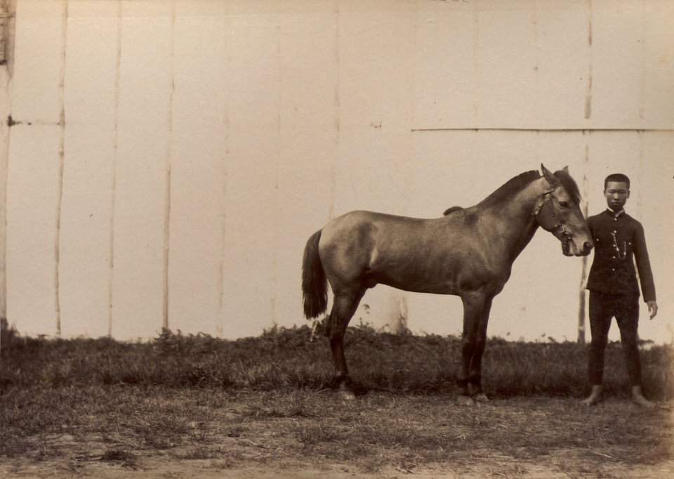 75 Portrait d'un homme et d'un cheval.