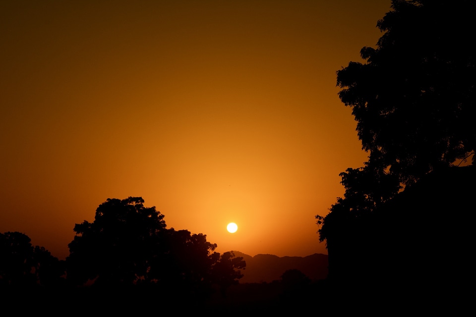 Sunrise silhouette trees