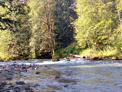 Summertime Sauk River near Bedal Campground, Mt. Baker-Snoqualmie National Forest. Photo by Anne Vassar July 30, 2020. photo