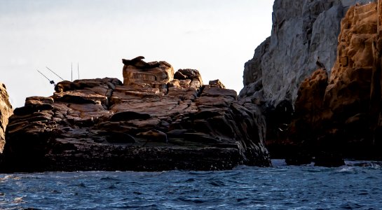 Cabo San Lucas photo