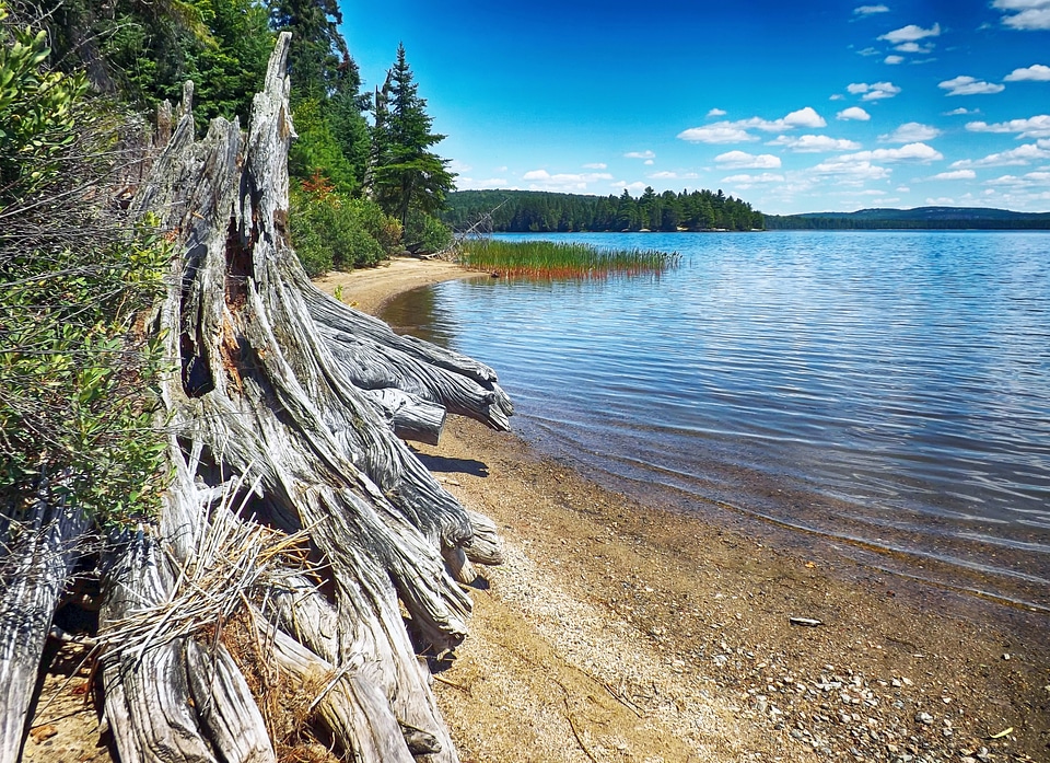 Nature ontario landscape