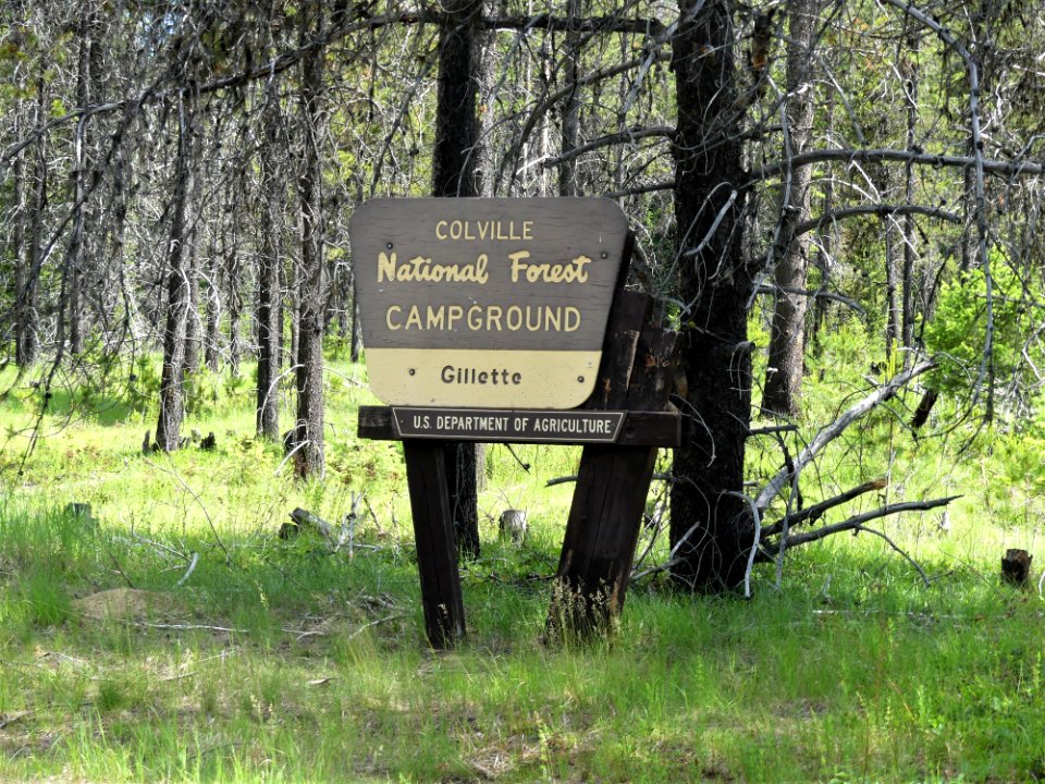 Colville NF Gillette Lake Campground June 2020 by Sharleen Puckett 20