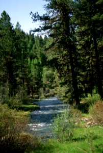 John Day River, Malheur National Forest