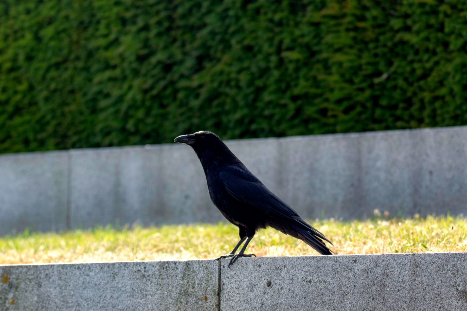 Kiel Juni 2018092