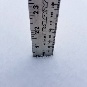 ChelanRidgeHawkWatchSnowEvent-RulerShowingSnowDepth20Inches ChelanRD-OkaWenNFbyJanet MillardUSFS 2019-09-29